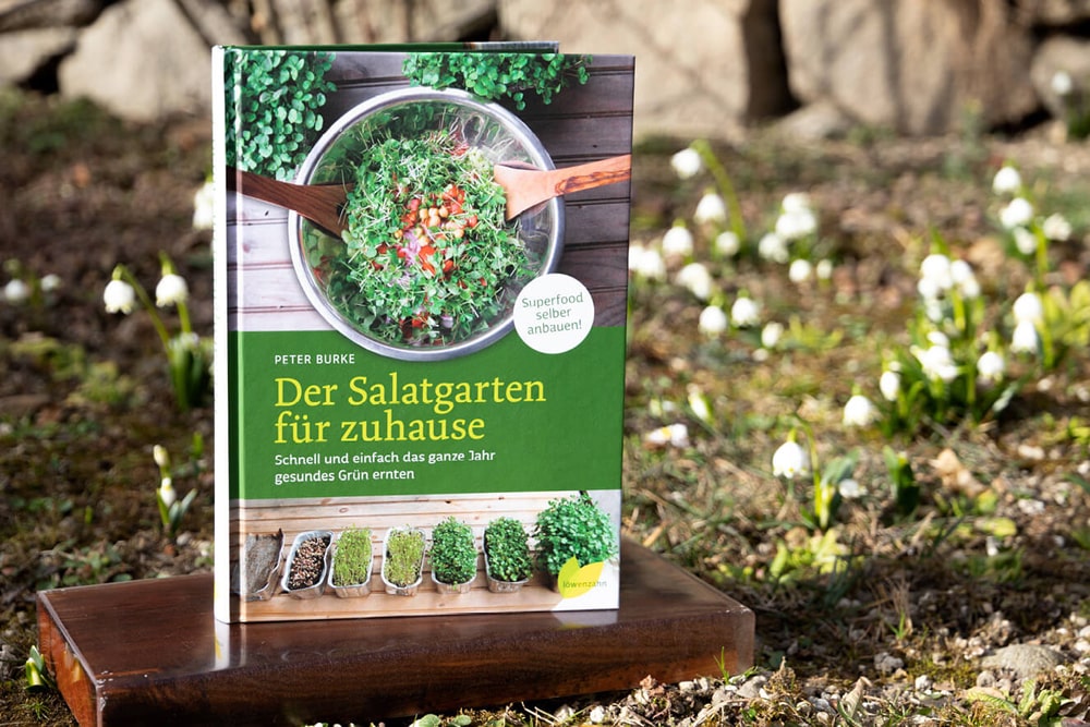 Salatgarten