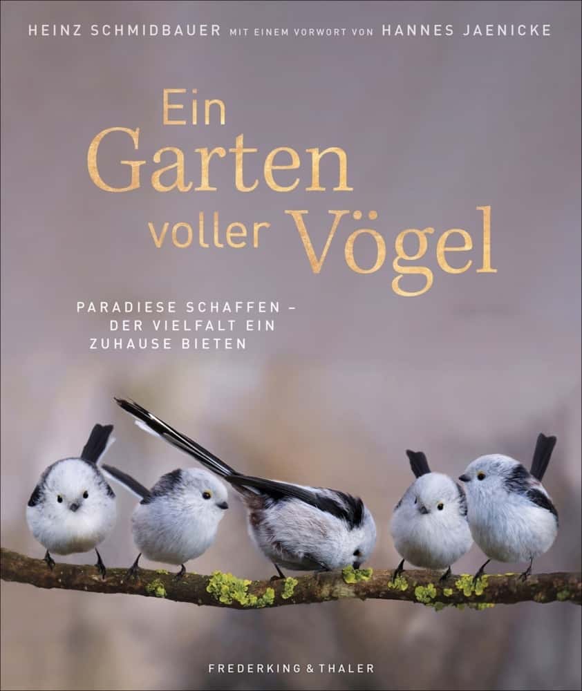 Ein Garten voller Vögel