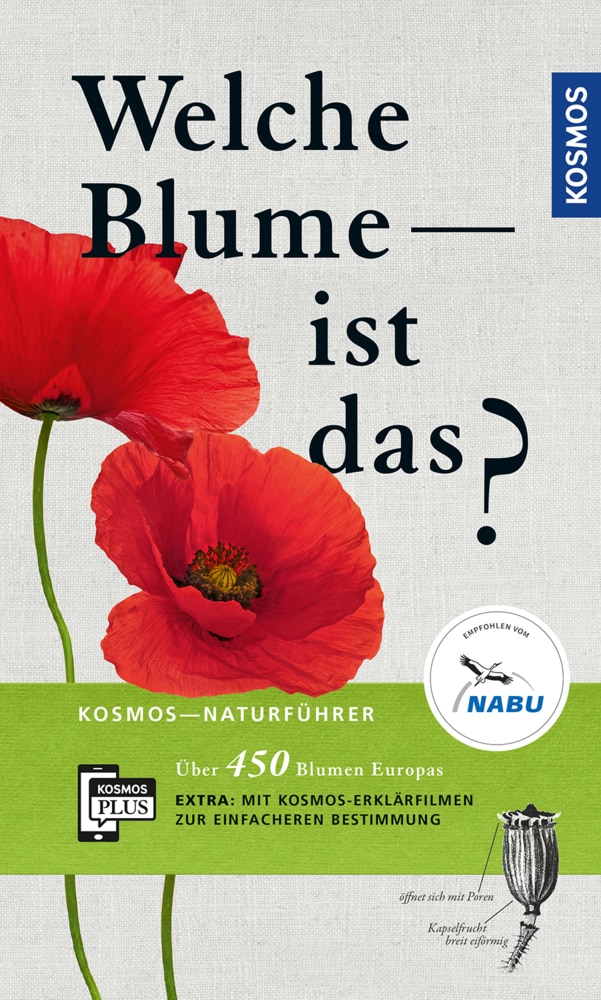 Welche Blume ist das? Über 450 Blumen Europas