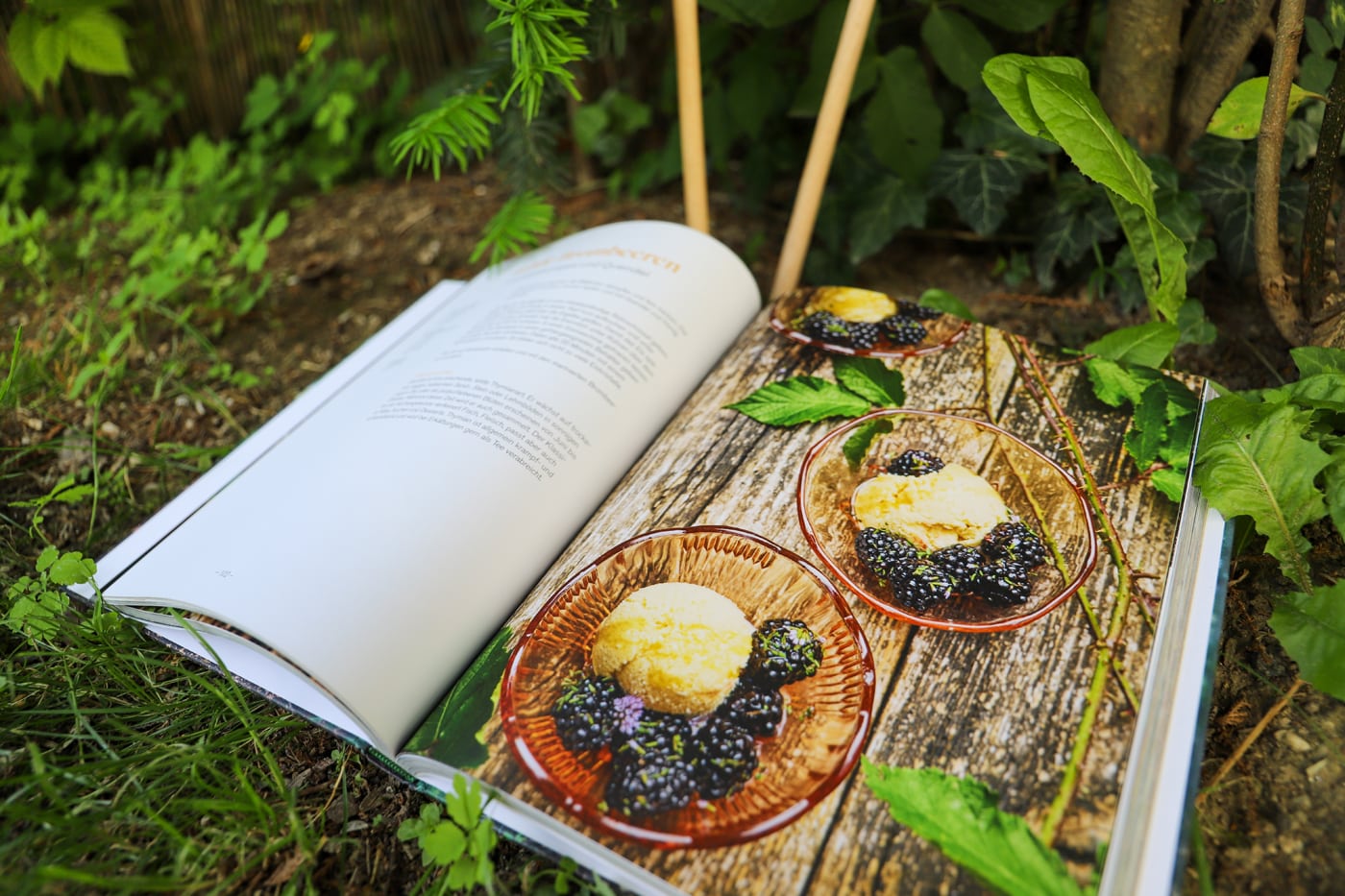 Brombeeren mit Waldhonigeis und Quendel