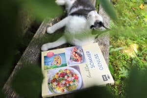 Joey liest Kochbücher.