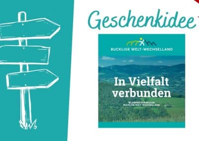 Einzigartige Geschenkidee für Natur- und Heimatliebhaber: Das neue Regionsbuch „In Vielfalt verbunden“